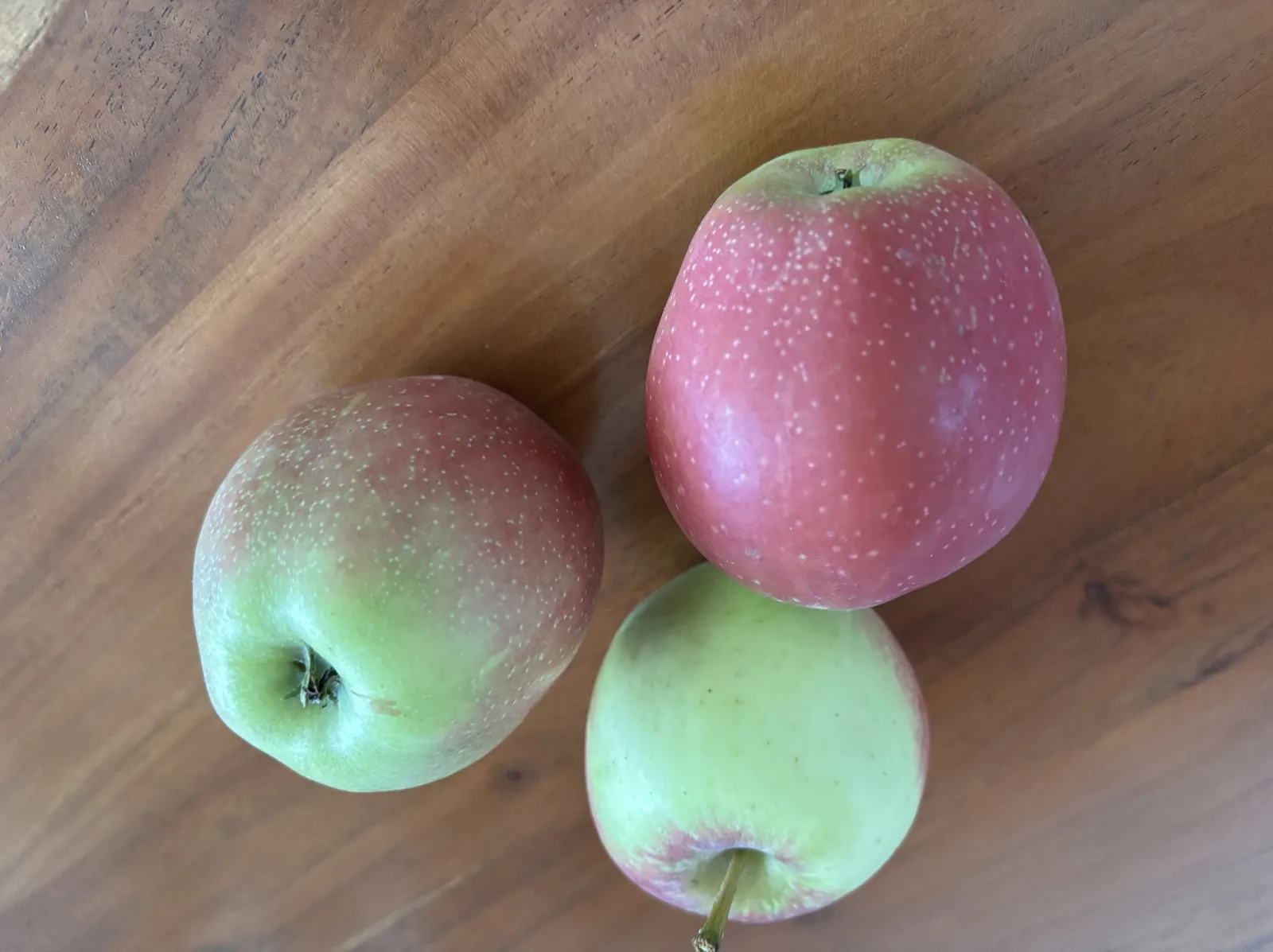Äpple 'Summerred' - bild 3