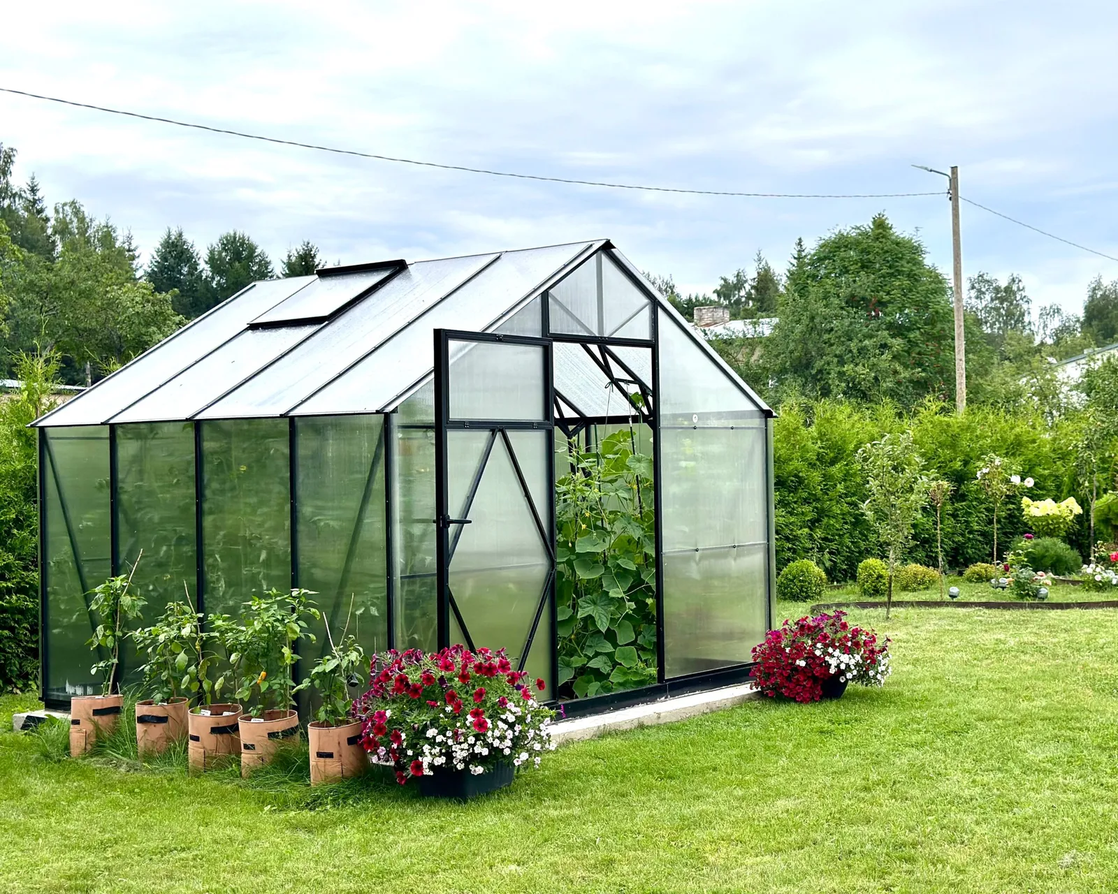 EcoSlider Lux 2,5 10,25 m² invändigt med plantor och odlingar