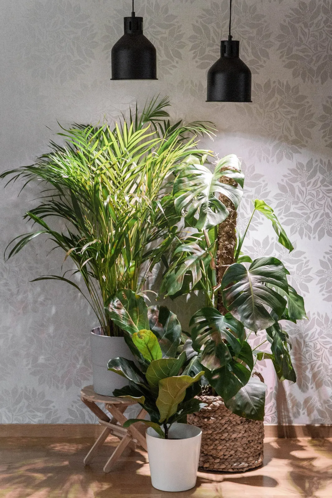 Växtarmatur Venso Saga Svart — detalj 2