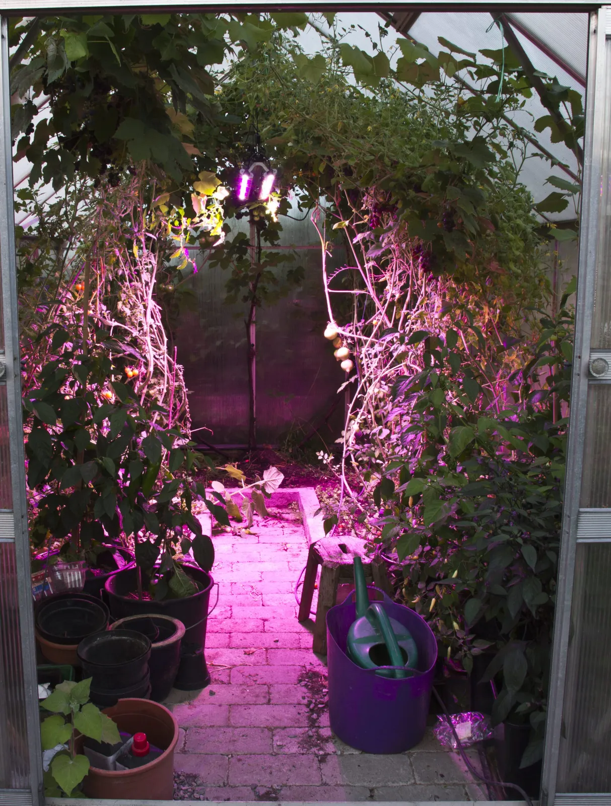 Växtarmatur Venso Growlight Quattro 2st rader 60W — närbild