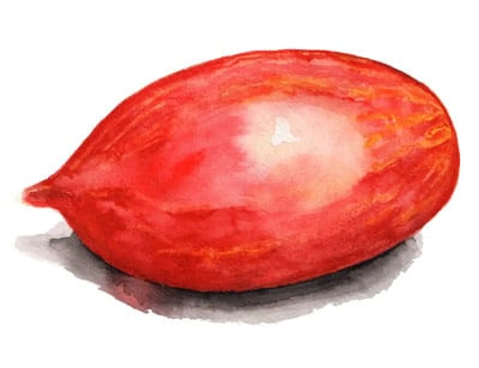 Tomat Marmorossa frö — gula plommontomater