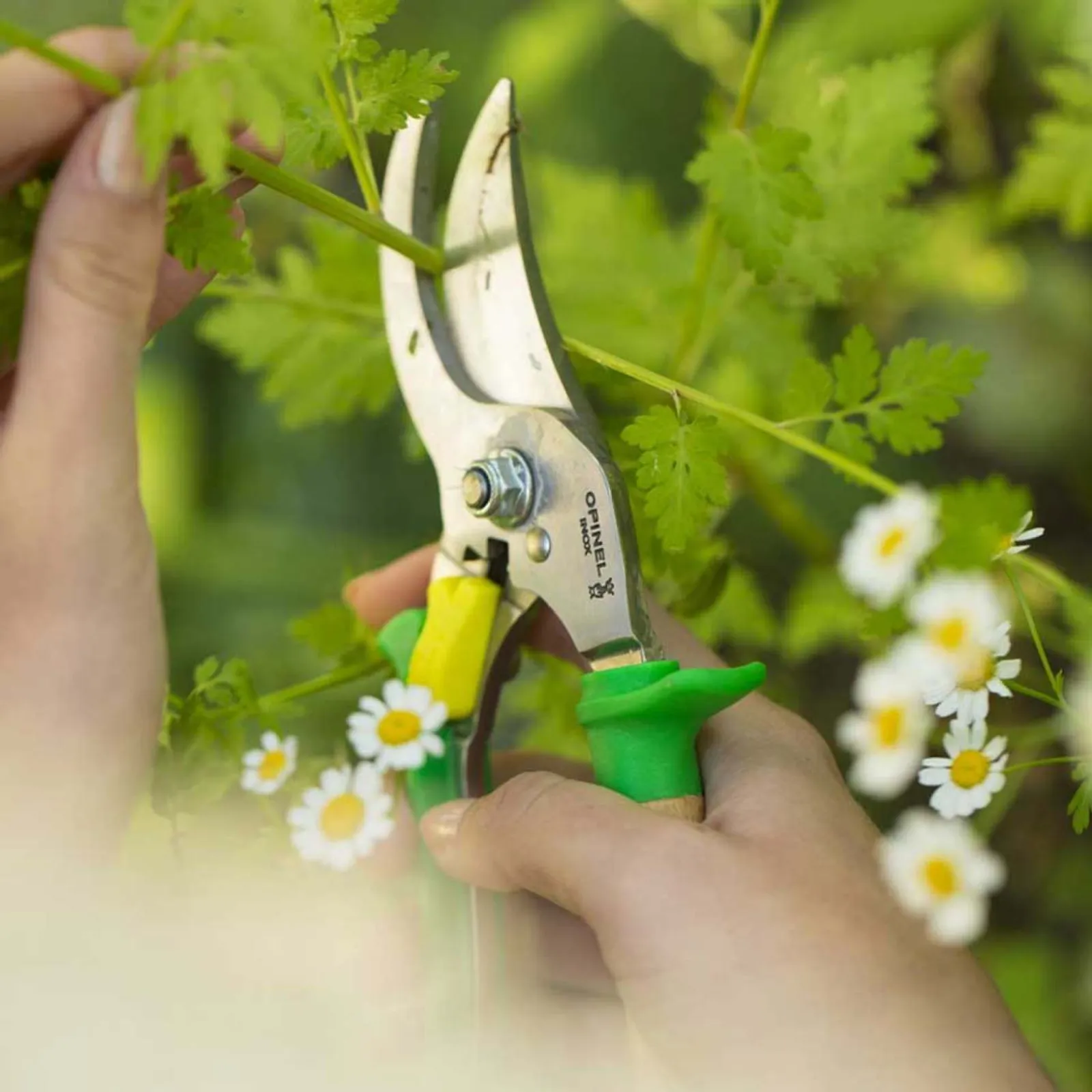 Sekatör Meadow Opinel — detalj 4