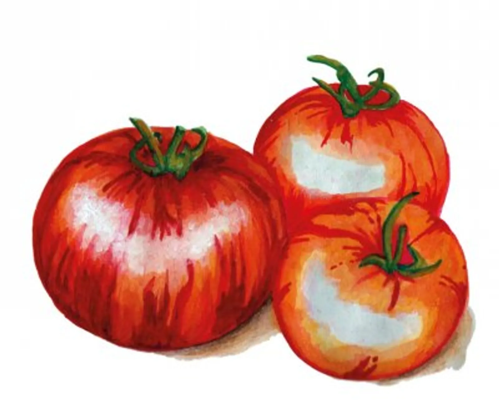 Tomat Tigerella frö — orange strimmiga tomater