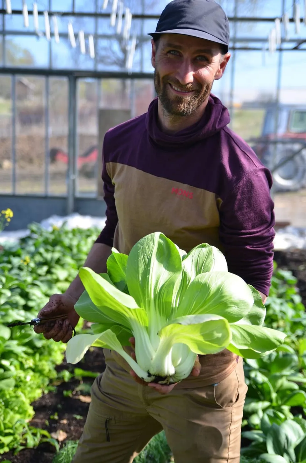 Odlingsmentorn Ossian i växthuset med en nyskördad pak choi i händerna