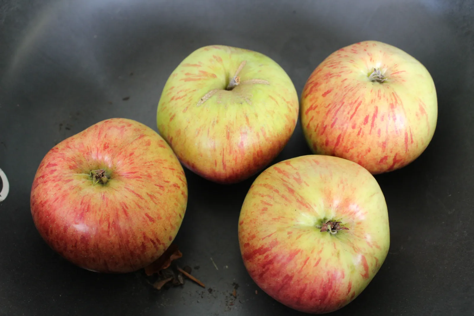 Äpple HÖSTDESSERT E ('Sügisdessert') - bild 2