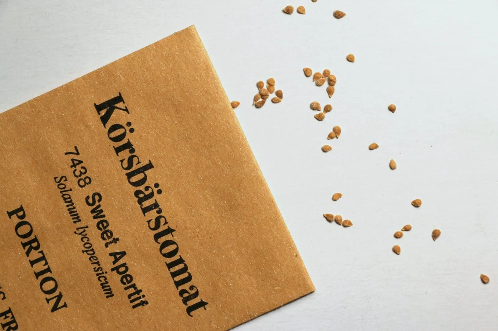 Körsbärstomat Sweet Aperitif ekofrö — röda körsbärstomater på gren