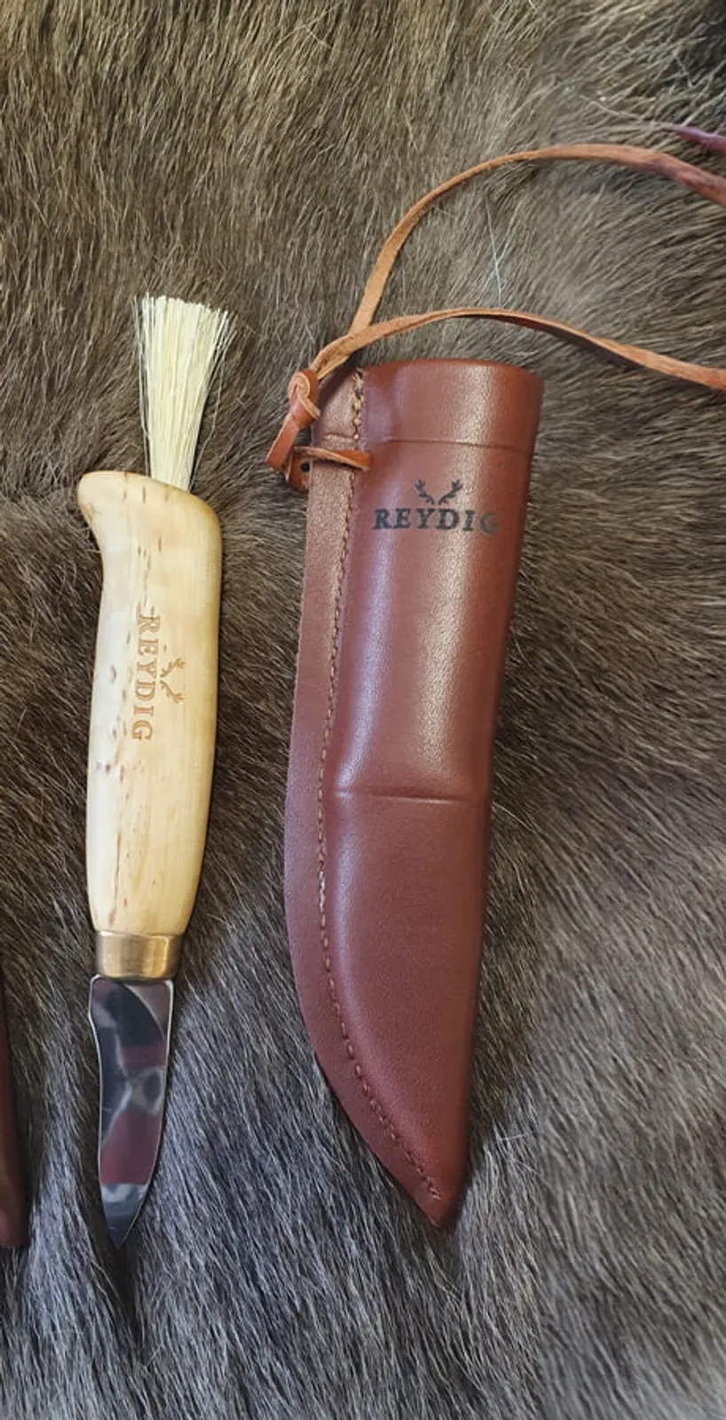Reydig svampkniv med trähandtag, rostfritt stål blad och brunt läderfodral på pälsbakgrund