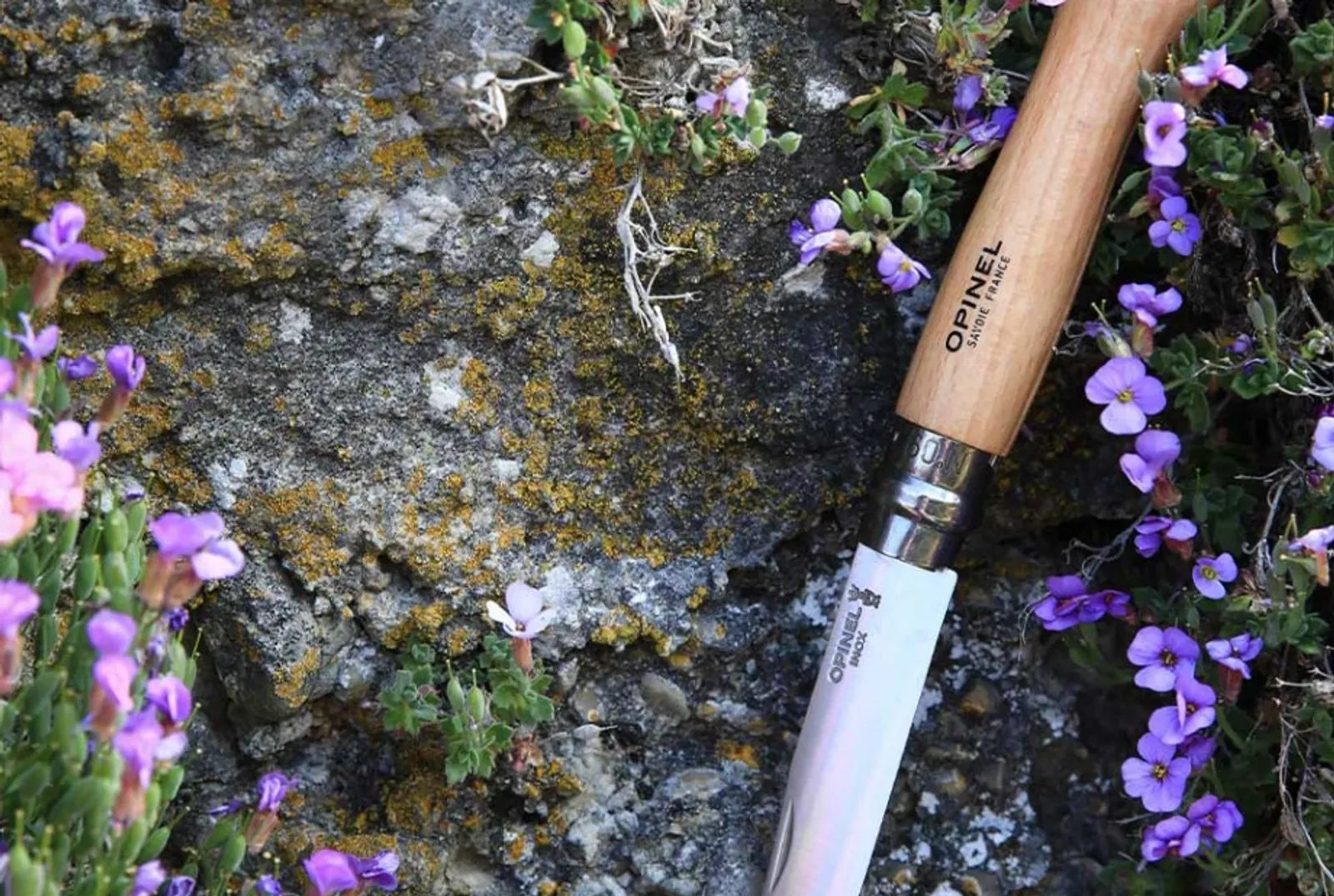 Opinel N09 kniv med trähandtag på stenig terräng omgiven av lila blommor - utomhusmiljö