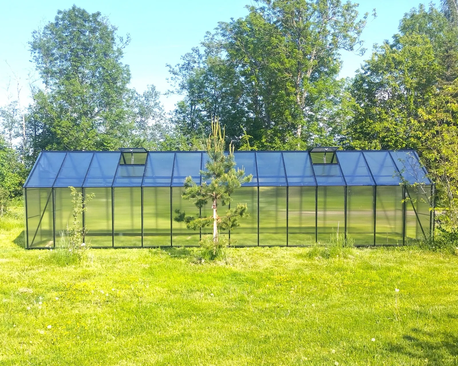 Växthus EcoSlider Lux 2,0 - 19,4 m² - svart stål - bild 8