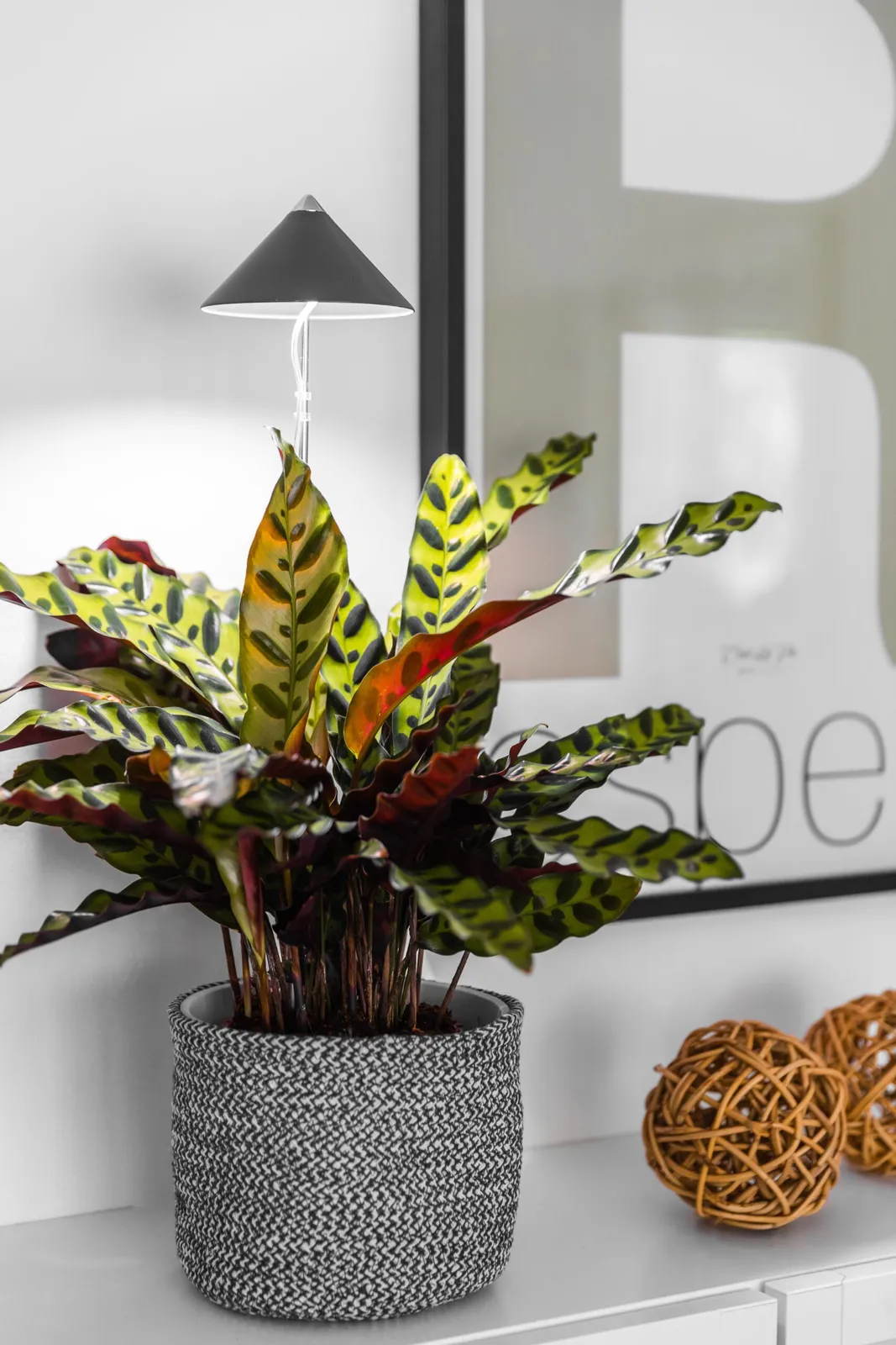 Växtlampa Venso Sunlite Grafitgrå 7W