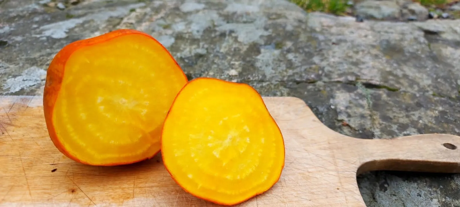 Gulbeta Wintersonne skuren på en skärbräda, med en orange kant och en ljusgul inre del, perfekt för matlagning och sallader