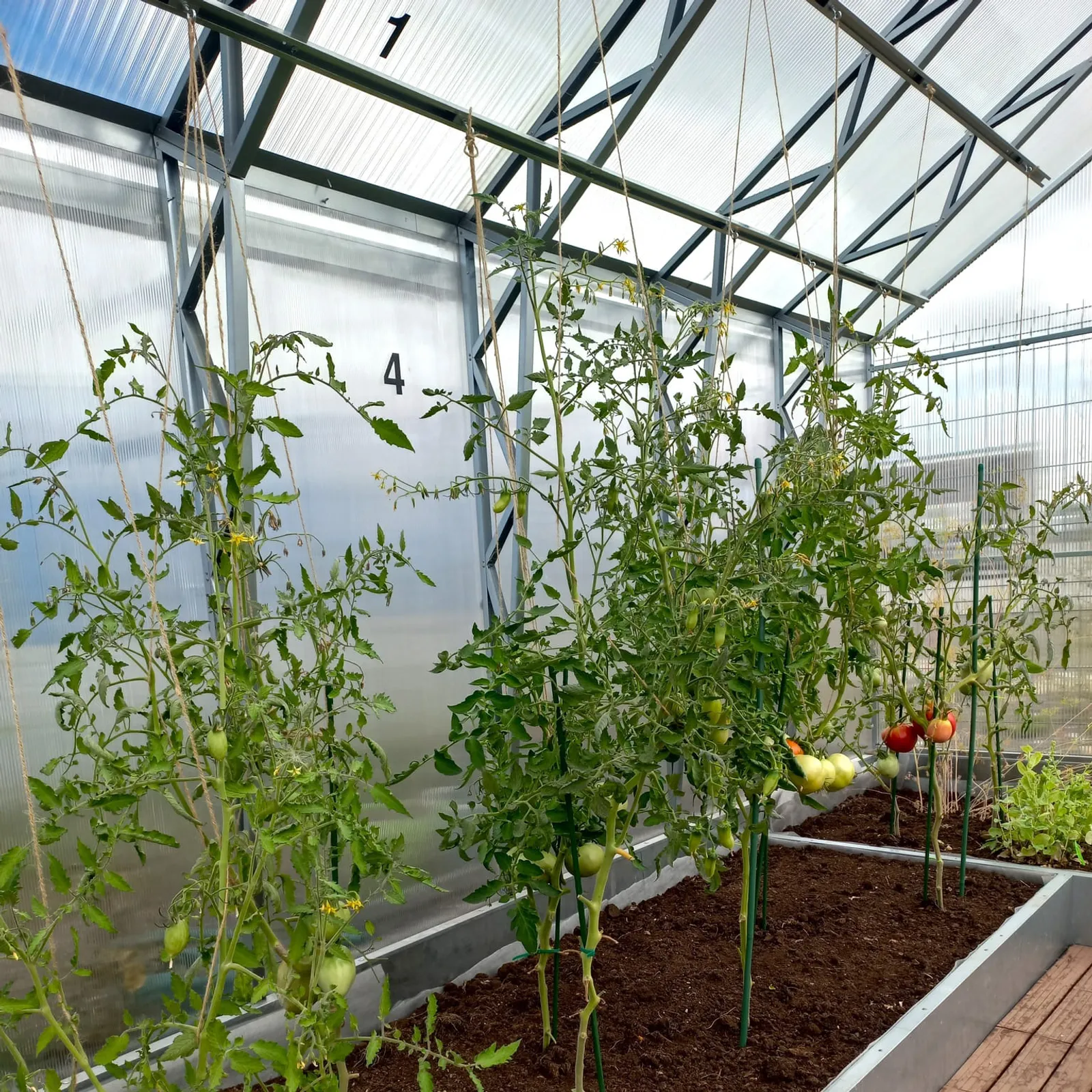Uppbindningskit till EcoSlider House - bild 4
