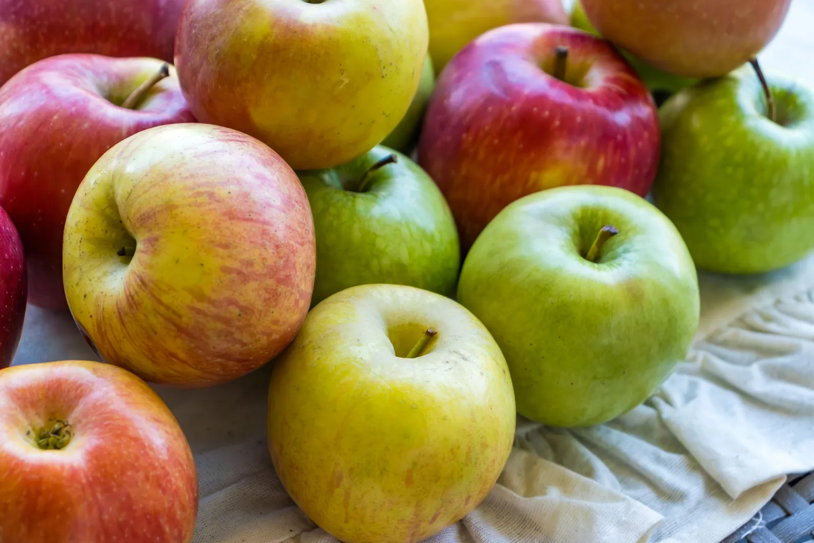 Familjeträd äpple, inkl. uppbindnings kit - bild 5