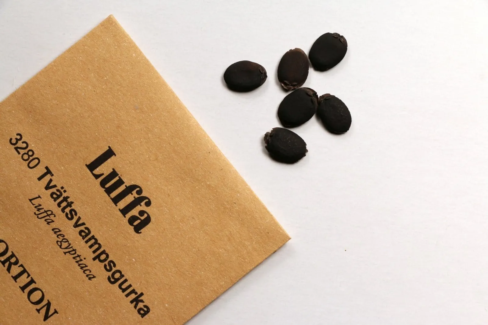 Luffagurka luffa frö med luffagurka