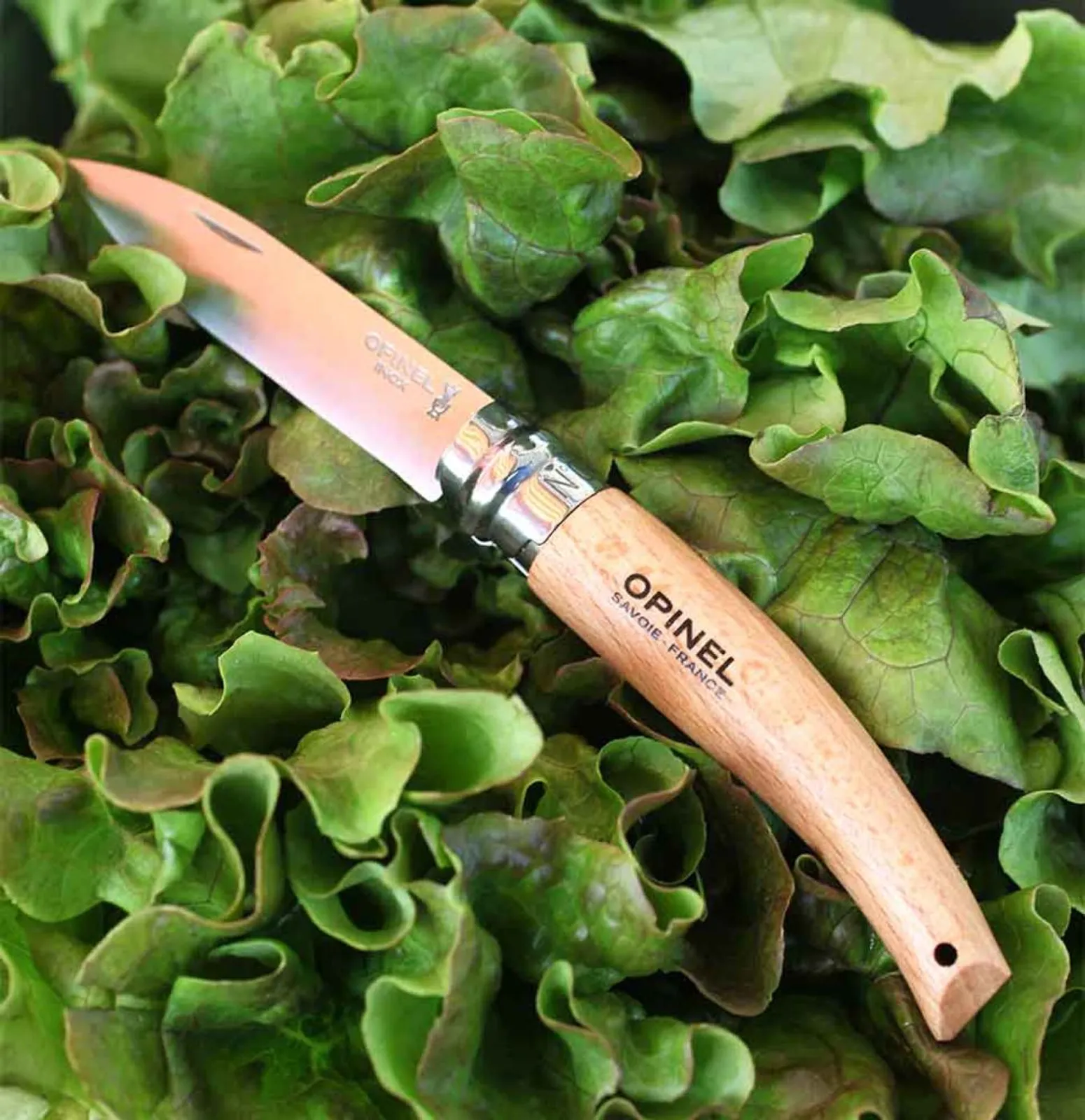 Opinel N08 trädgårdskniv med trähandtag vilar på färska gröna salladsblad - visar elegant rostfritt stål blad