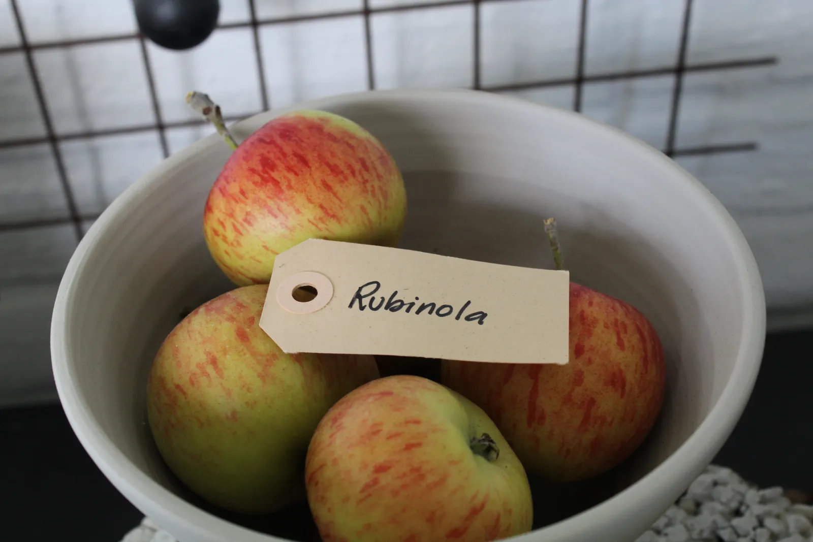 Äpple 'Rubinola'PBR - bild 3