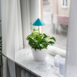 Växtlampa Venso Sunlite Petrolblå 7W