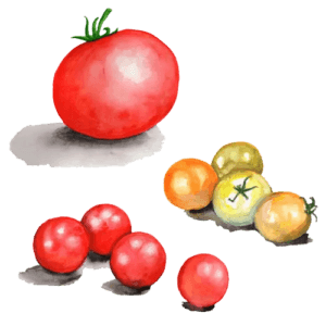 Dvärgtomat Microdwarf Mix frö — körsbärstomater