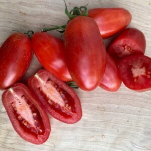 Plommontomat San Marzano ekofrö — röda plommontomater