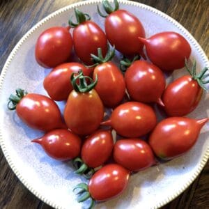 Vintertomat Pantelli ekofrö — röda tomater