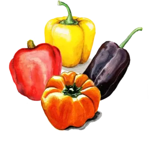 Paprikor Paprikor Mix frö — orange paprikor för friland