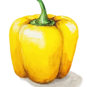 Paprika Cubo Yellow frö — gula blockiga paprikor