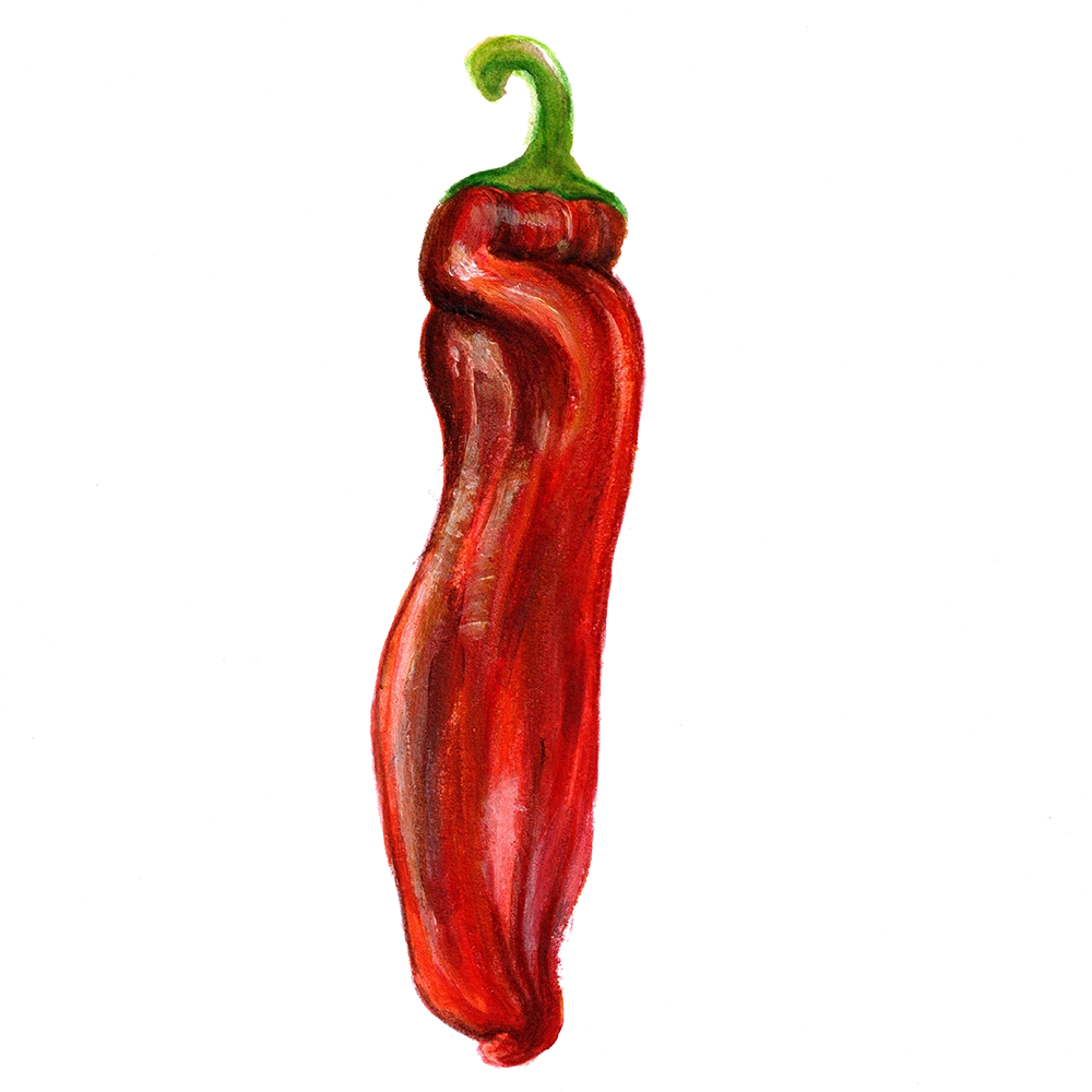 Paprika Dulce Italiano frö — gröna avlånga paprikor, 15-20 cm