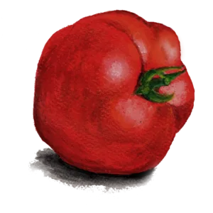 Tomat Odessa frö — röda runda tomater, 120-180 g